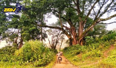 motorbike tour vietnam north