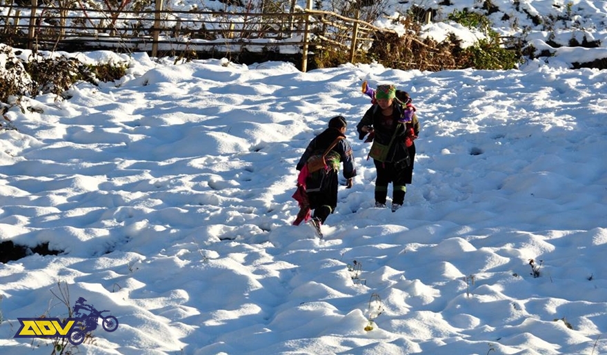 Sa-pa-winter-festival